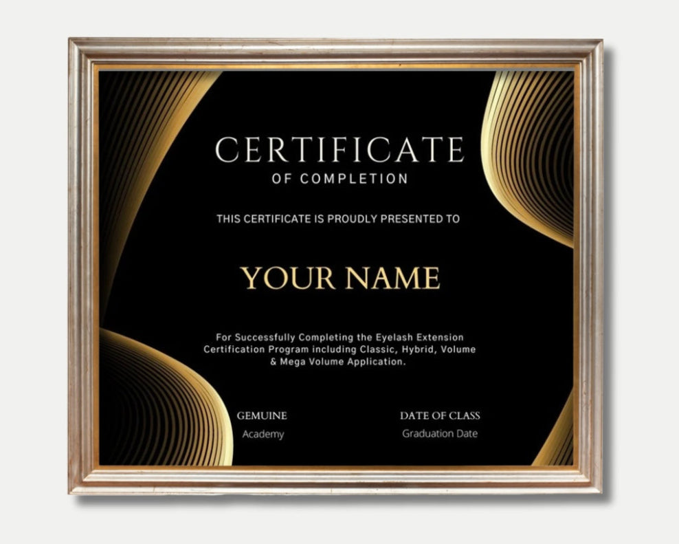 Online Beginner Lash Course